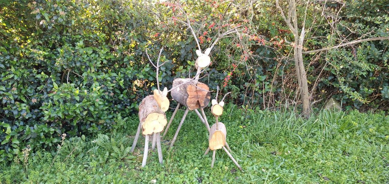L'Esperluette En Camargue Bed & Breakfast Uchaud ภายนอก รูปภาพ